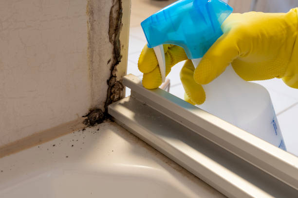 Best Affordable Mold Removal  in Eglin Af, FL